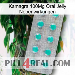 Kamagra 100Mg Oral Jelly Side Effects 28